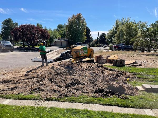 Stump Removal Northwest
