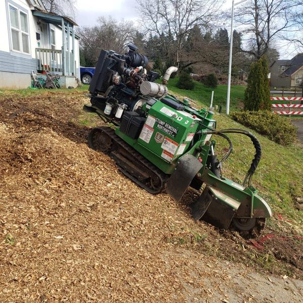 Stump Removal Northwest