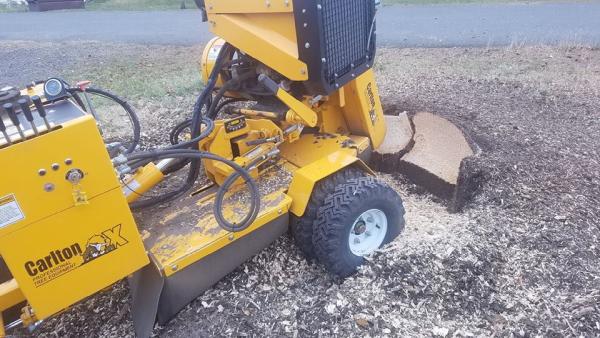 Stump Removal Northwest
