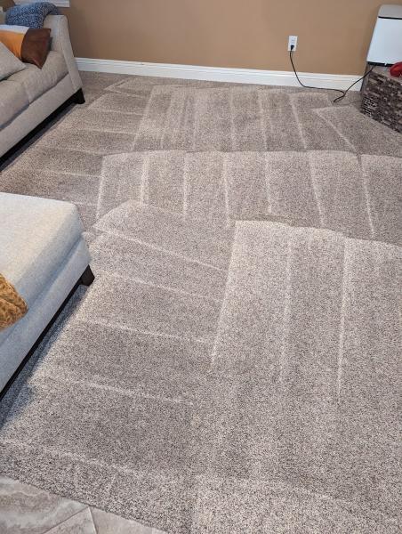 Hot Style Carpet Cleaning