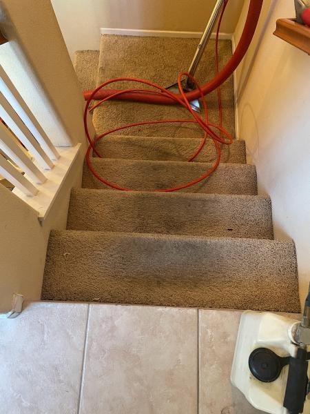 Hot Style Carpet Cleaning
