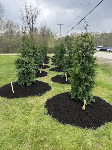 Virtuoso Landscaping Dba Akron Snowmen