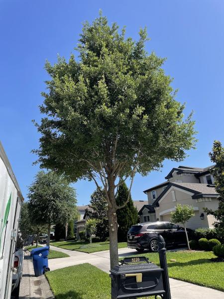 Oaki Lawn Care LLC