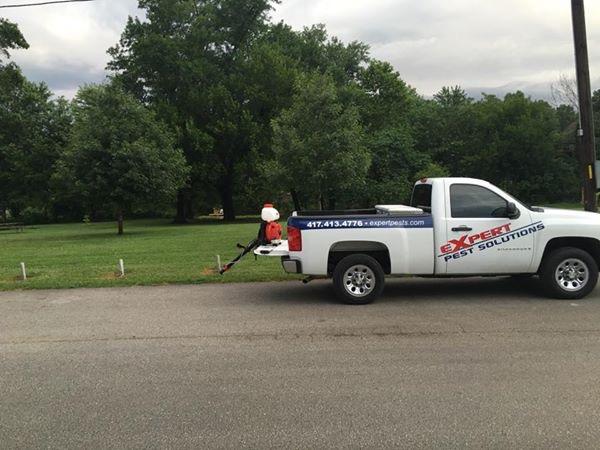Expert Pest Control Solutions