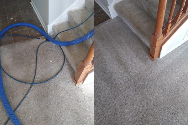 My Trusted Carpet Cleaners