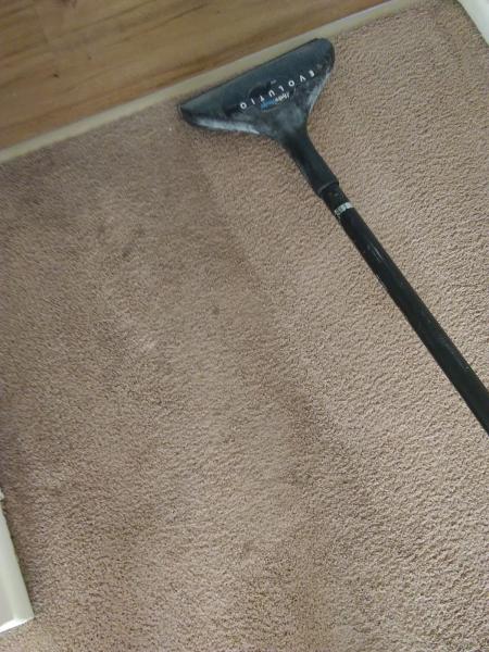 My Trusted Carpet Cleaners