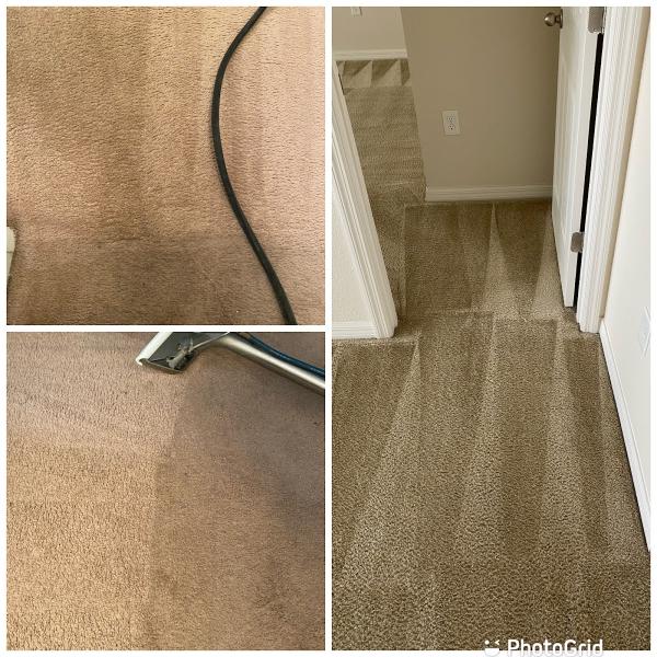 Advance Carpet Cleaning