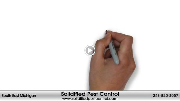 Solidified Pest Control