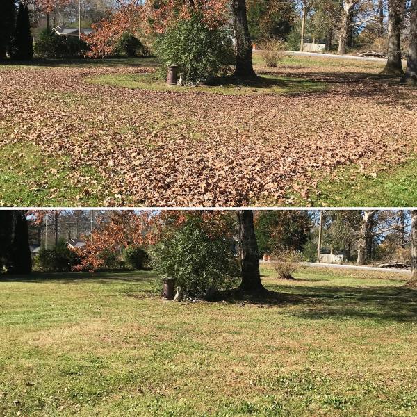 Superior Lawn Care & Maintenance