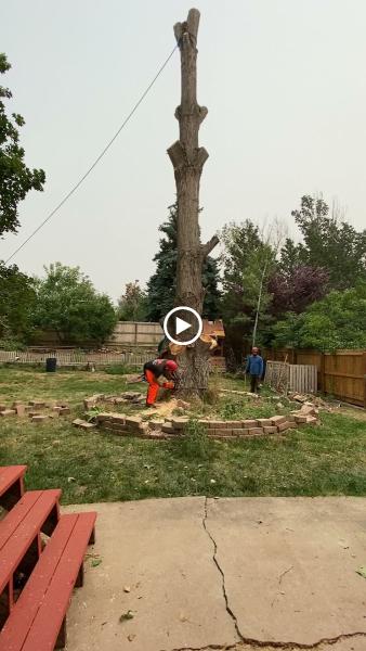 Bullard Tree and Garden
