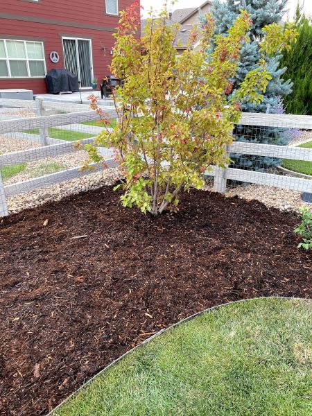 Bullard Tree and Garden