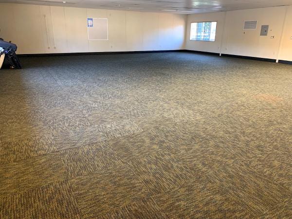 Platinum Carpet Cleaning