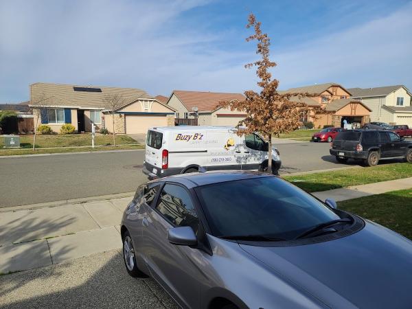 Buzy B'z Carpet Cleaning