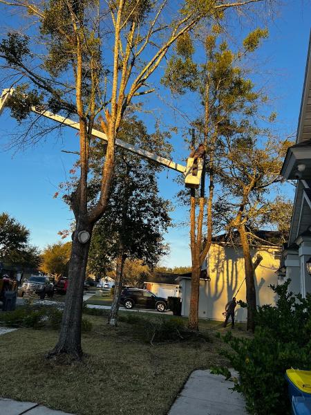 Forshee's Tree Service
