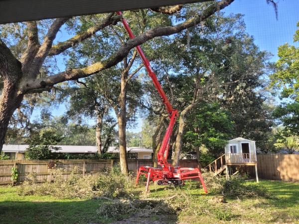 Forshee's Tree Service
