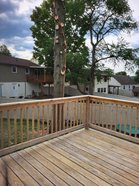 Stoudt Tree Professionals