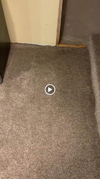 Troy's Carpet and Upholstery Cleaning