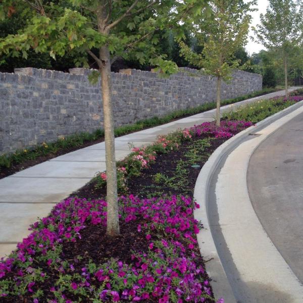 Scapes LLC