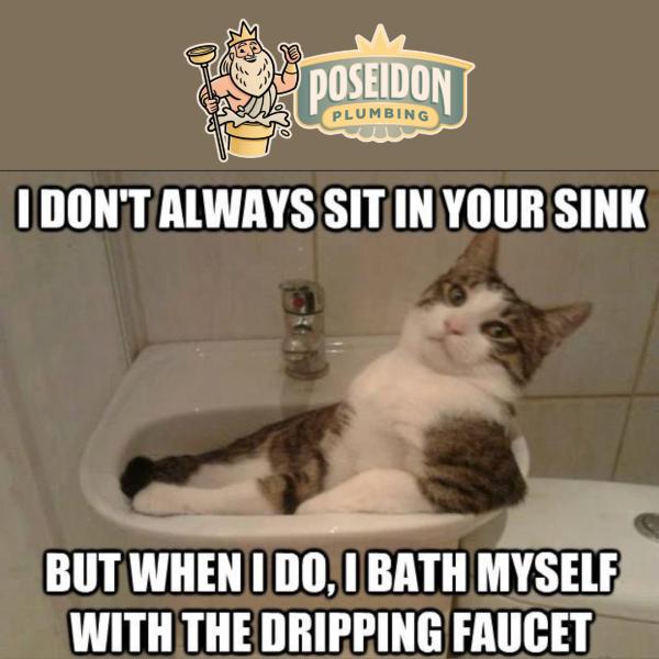Poseidon Plumbing LLC
