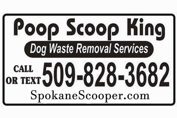Poop Scoop King