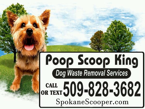 Poop Scoop King