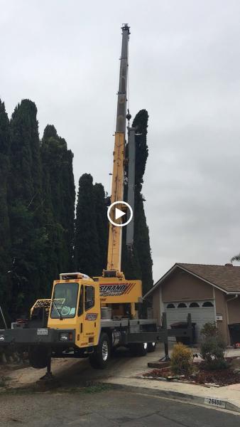 Continental Tree and Land Care