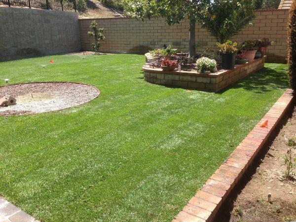 Continental Tree and Land Care