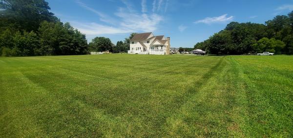 Wallace's Lawn Mowing