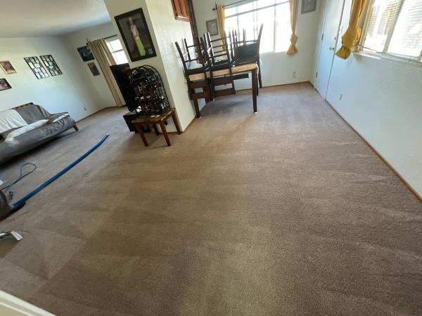 Hi-Tech Carpet Cleaning