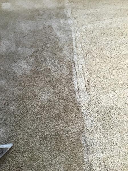 Hi-Tech Carpet Cleaning