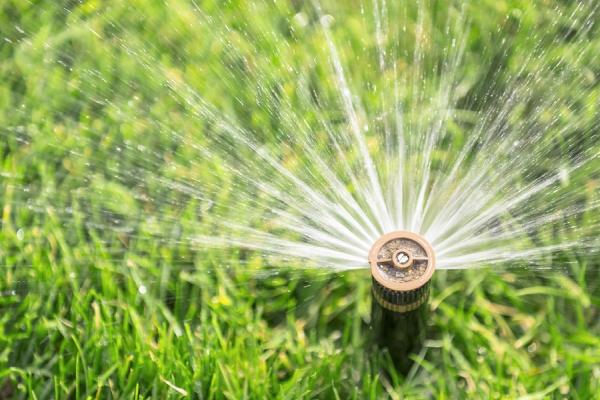 Blue Irrigation