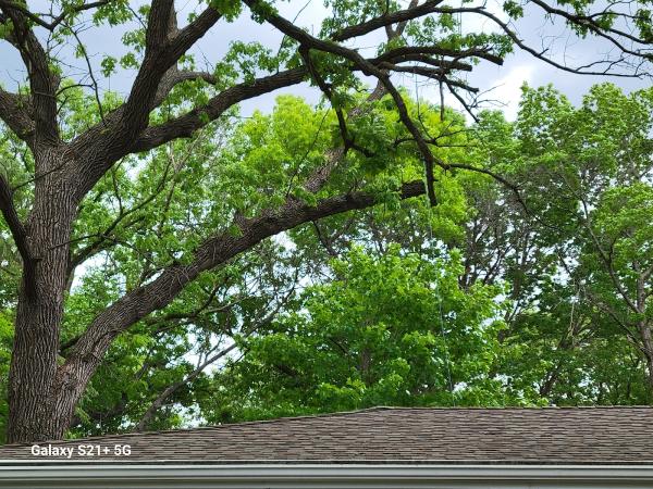 A&t's Tree and Landscape Service LLC