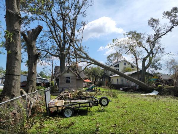 Sidden Tree Service