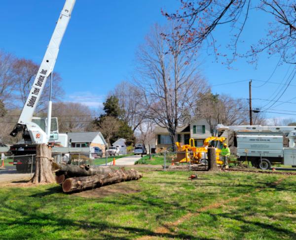 Sidden Tree Service