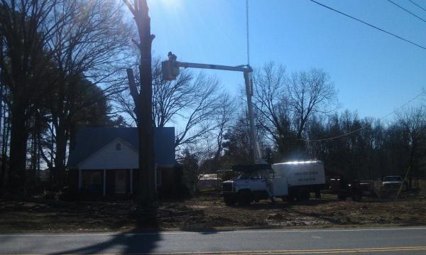Sidden Tree Service