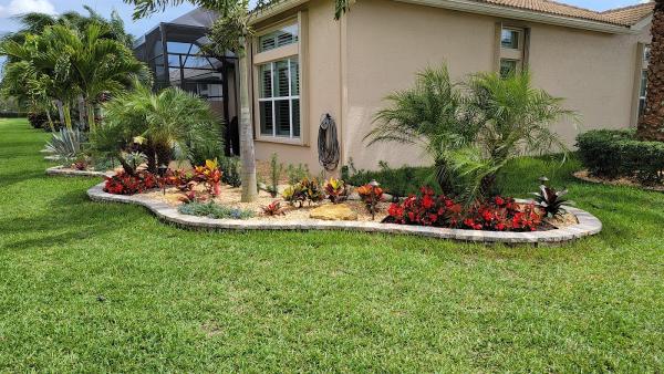 Tamar Palm Landscape