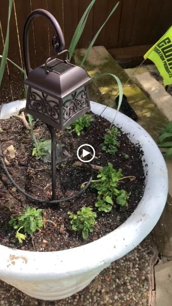 Wet Willie's Sprinkler Repair