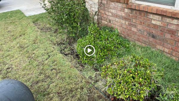 Terra West Lawn Services