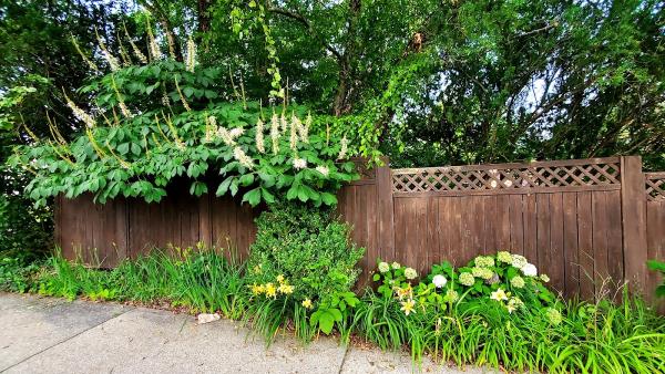 Ezra Haggard Landscape Design