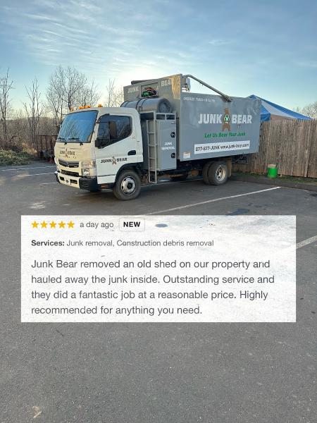 Junk Bear