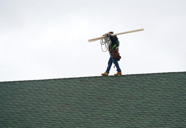 Sammler Roofing