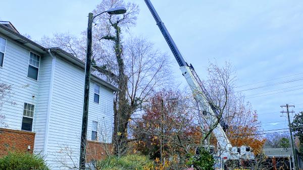 Nova Tree Care Inc