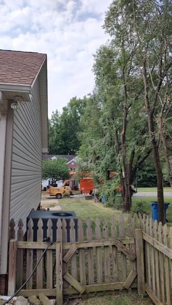 Nova Tree Care Inc