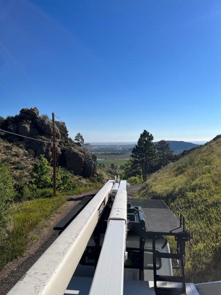 Foothills Tree Experts
