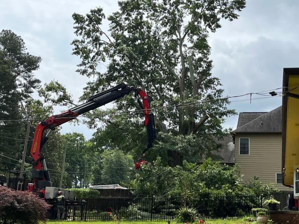 Atlanta Premier Tree Solutions