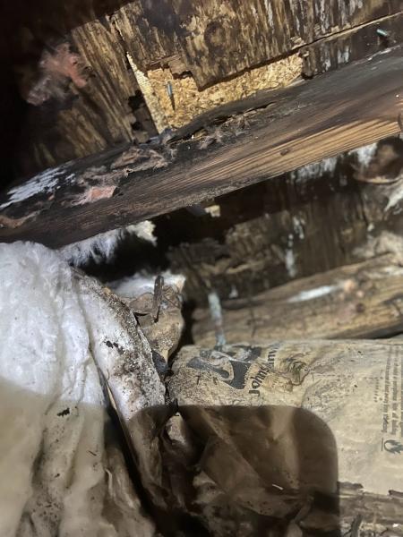 MSJ Home Inspections