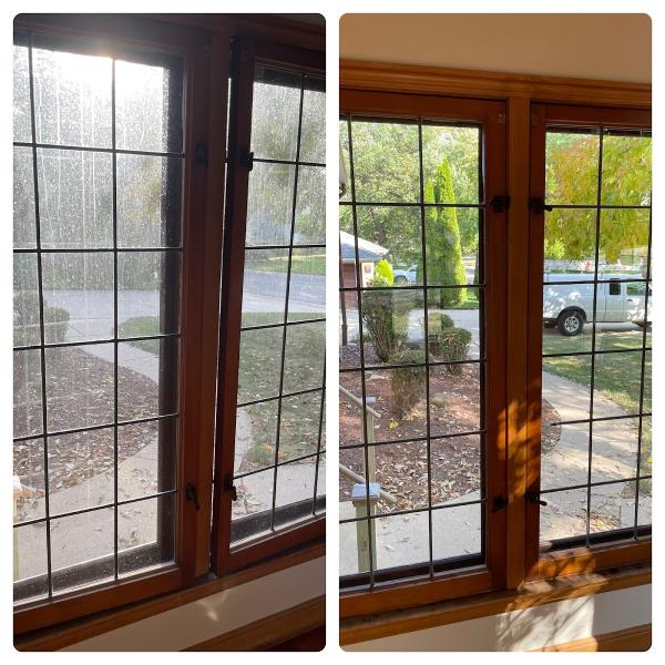 Pristine Window Cleaning