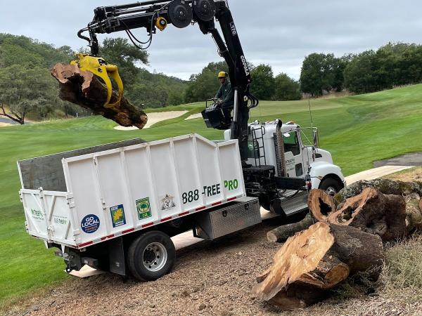 Treepro Professional Tree Care