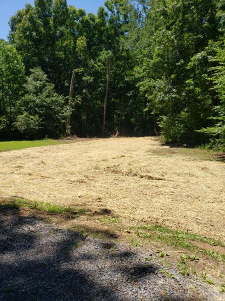 Budget Septic and Drain Services