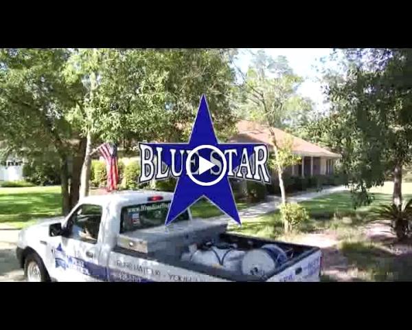 Blue Star Pest Control